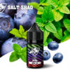 salt shaq煙油薄荷 SALT SHAQ 新版鯊克煙油 30ML/40MG 小煙油推薦 原廠正品